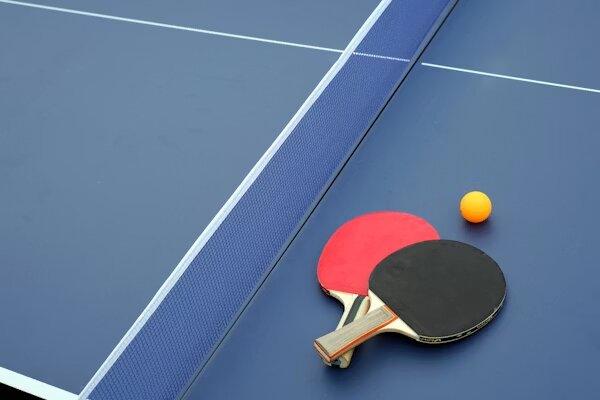 Dos palas y pelota junto a la red de la mesa