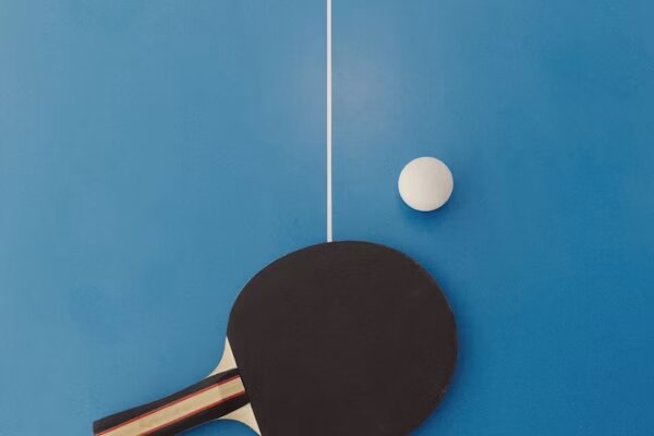 Pala negra y pelota junto a la línea central de la mesa
